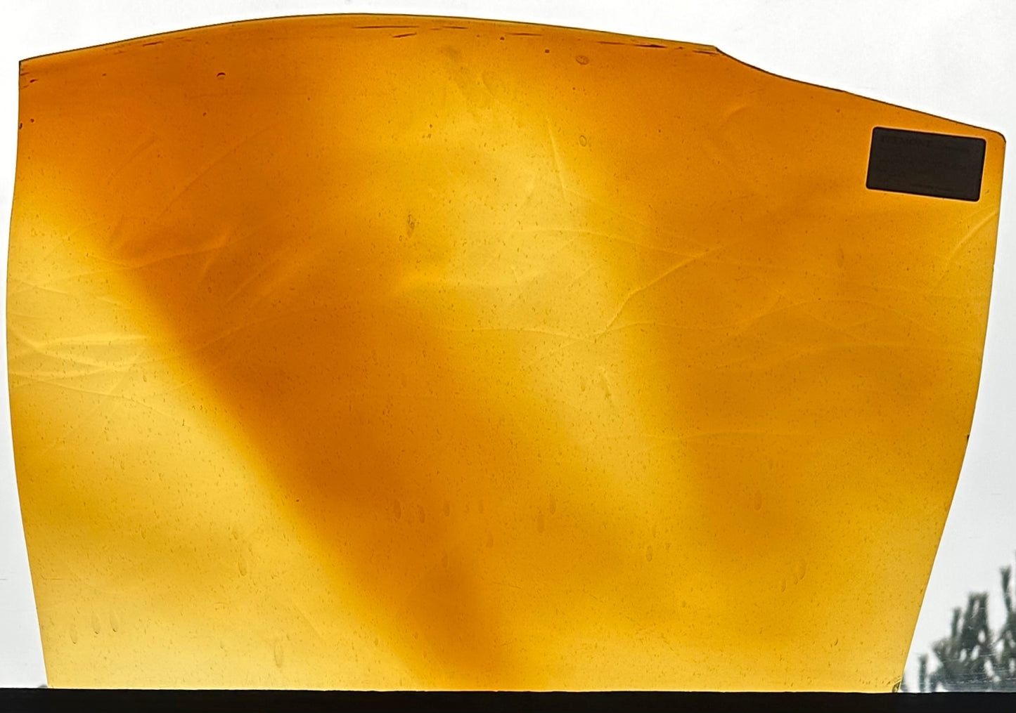 F 222 V Seedy