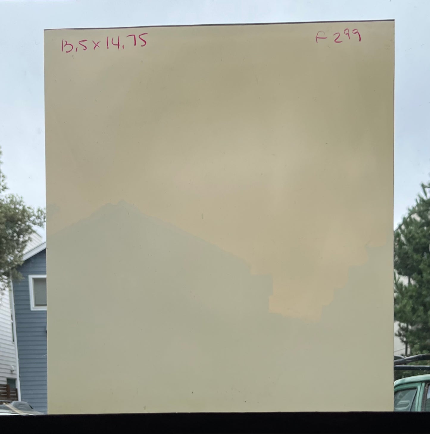 F 299