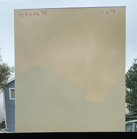 F 299