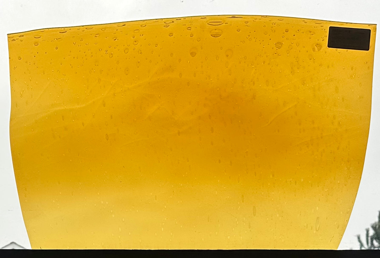 F 222 Seedy