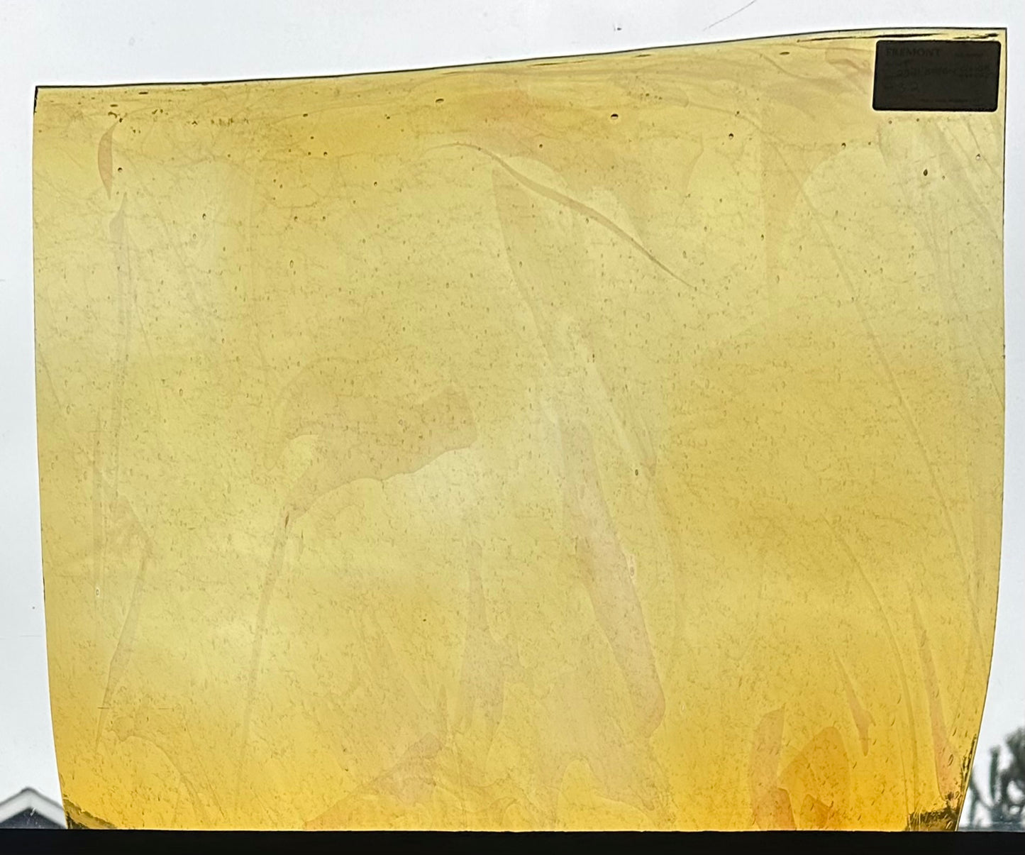 F 222 L Curious Streaks Seedy