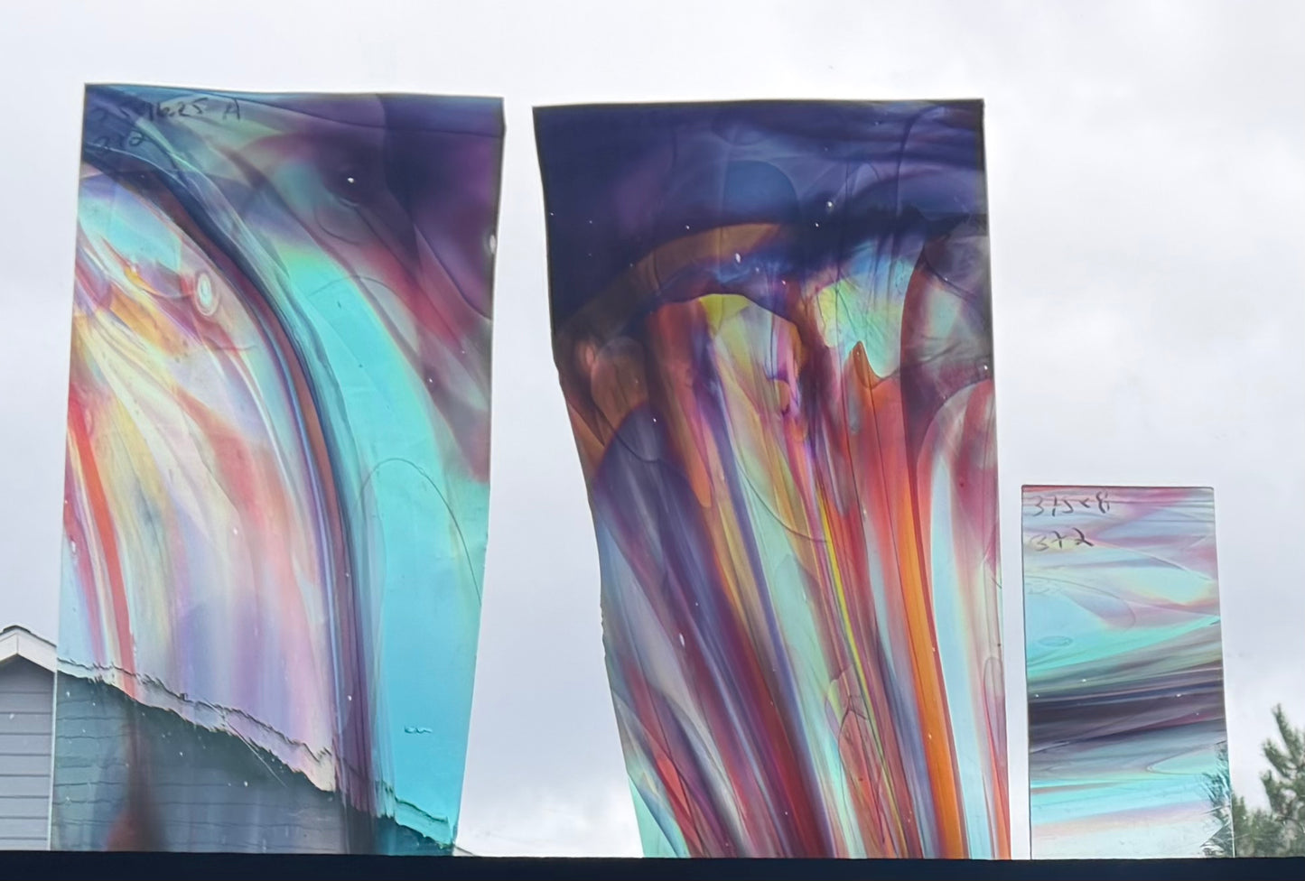 S3 372 Golden Sea Kelp Swirl