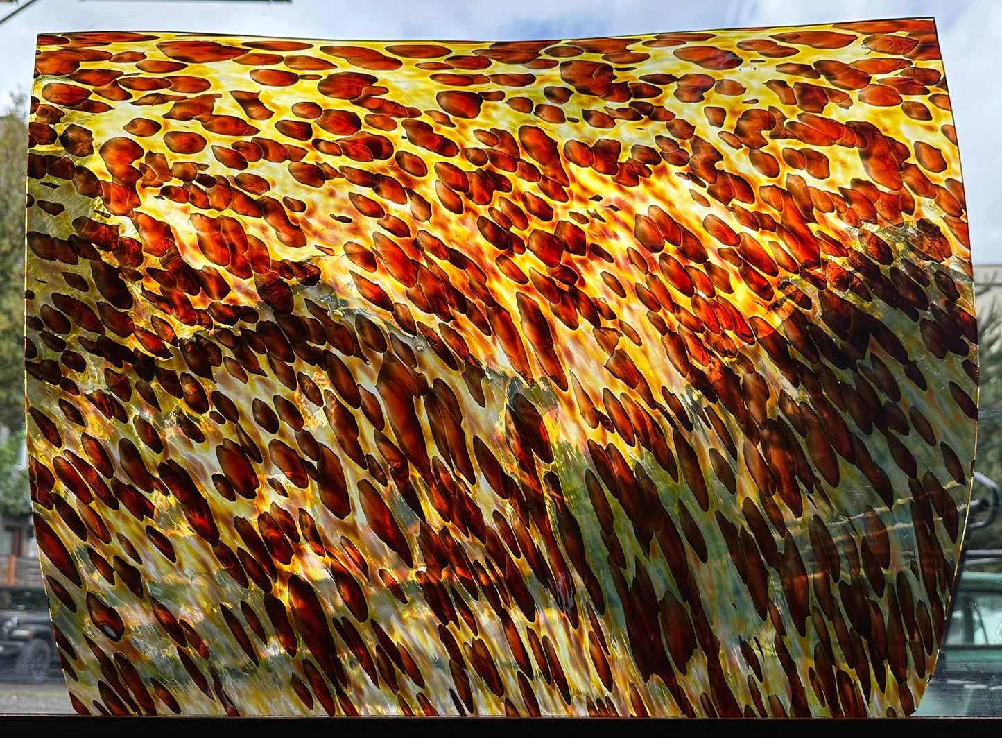 S1 335 Leopard print