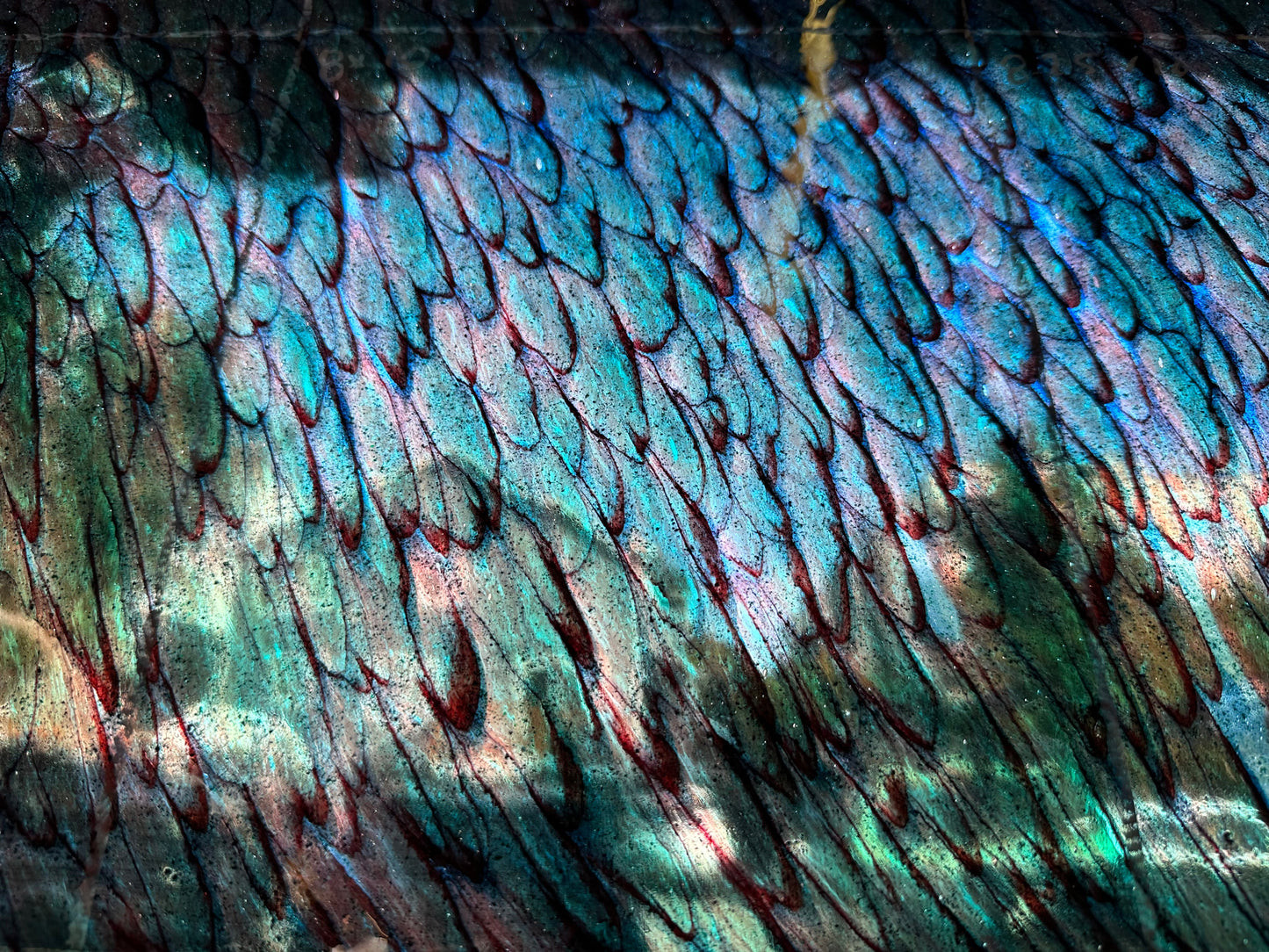 Full Sheet S1 347 AV