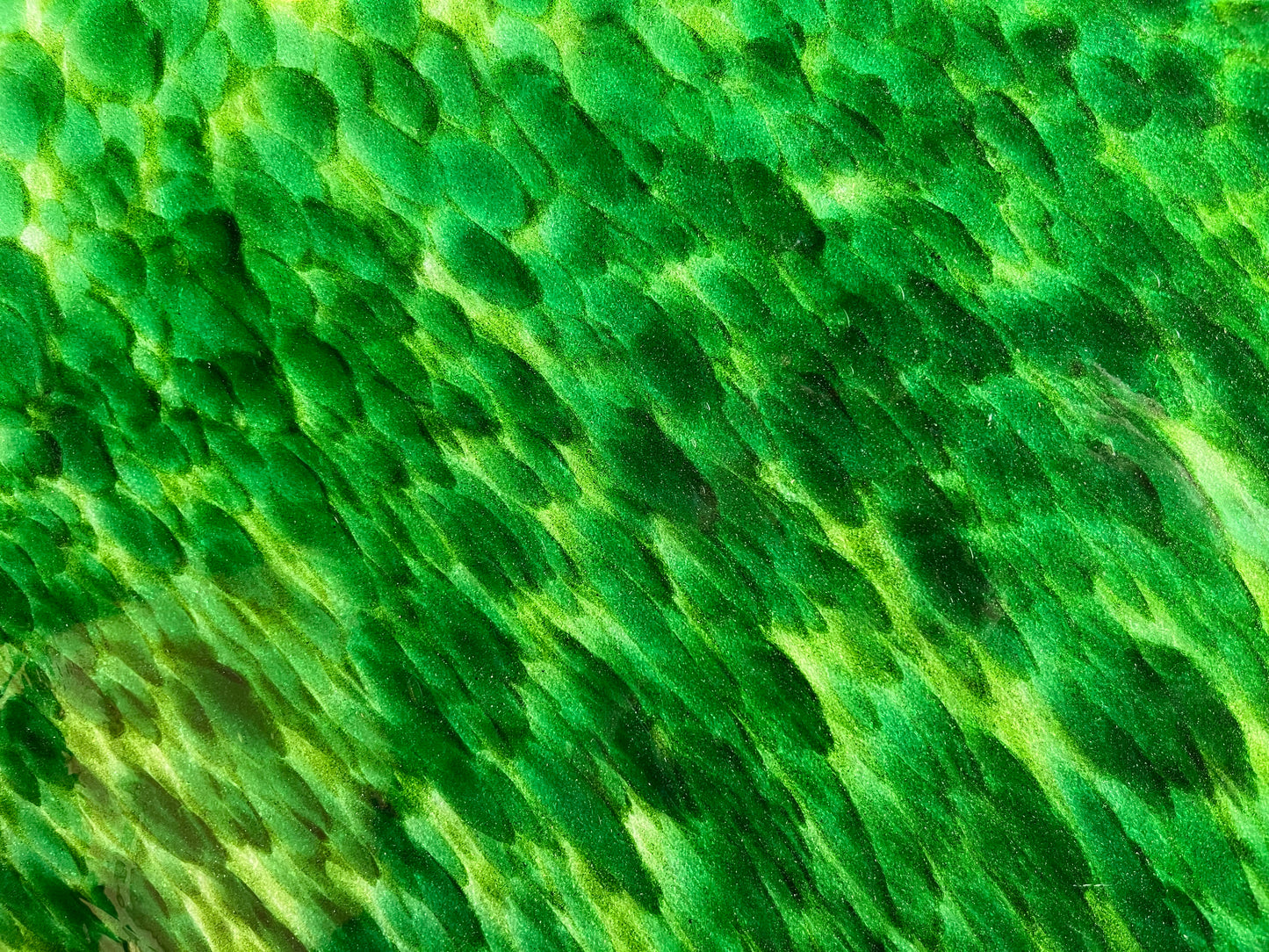 AV S1 290 AV