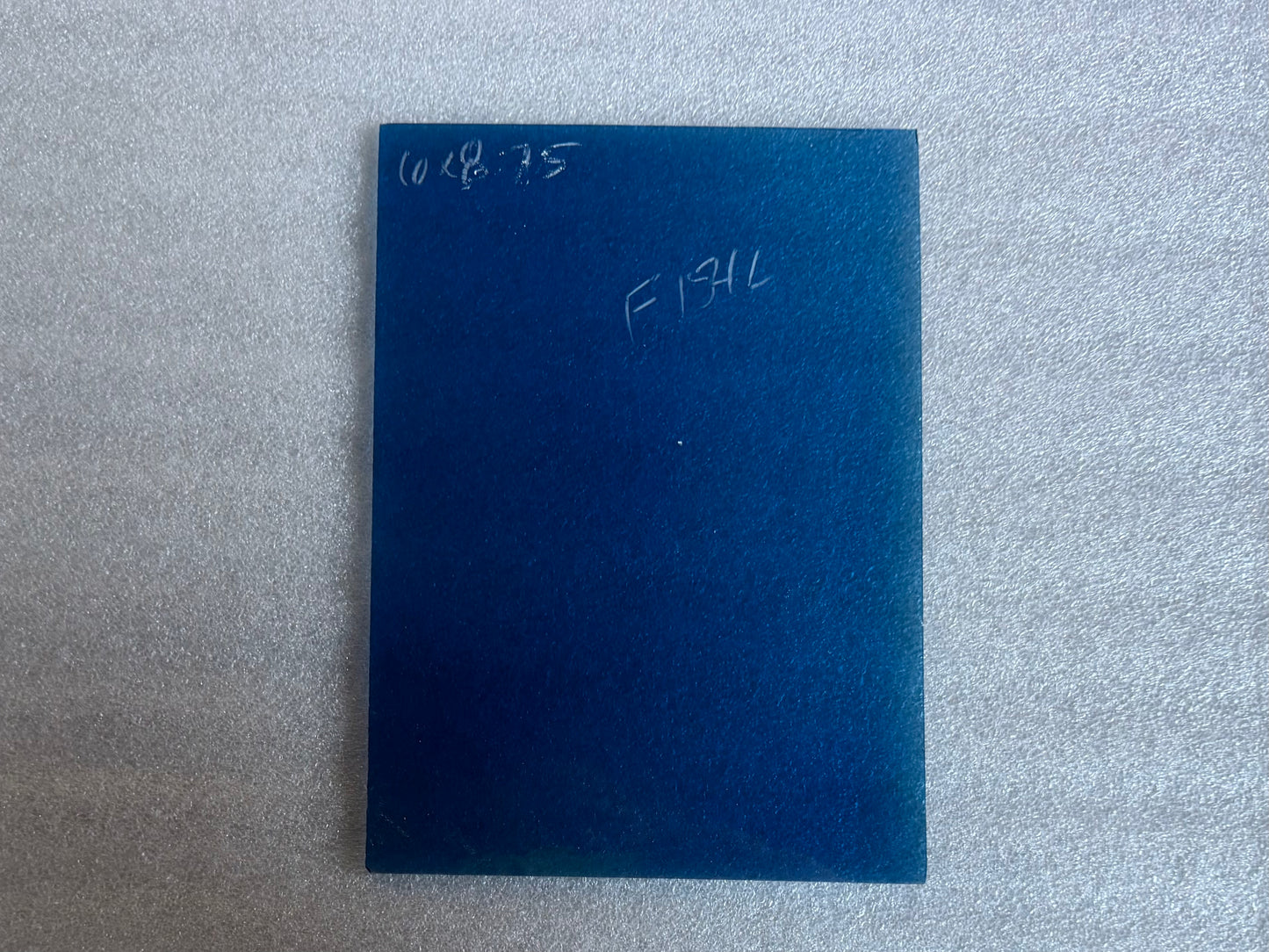 F 154 L