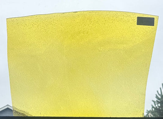 F 210 Seedy