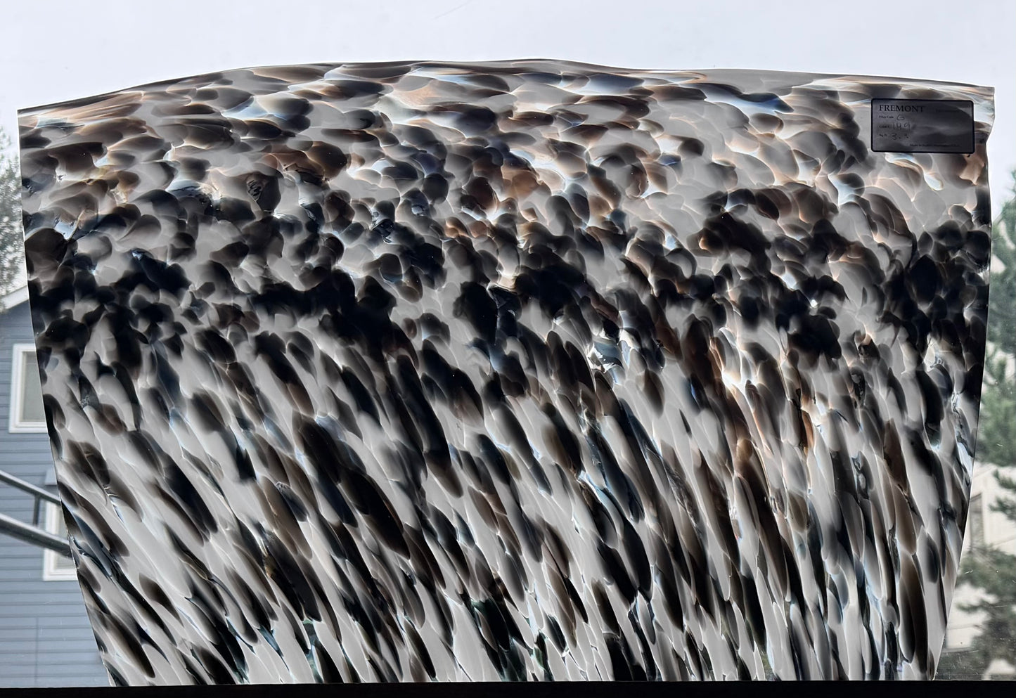 G 149 Black and White