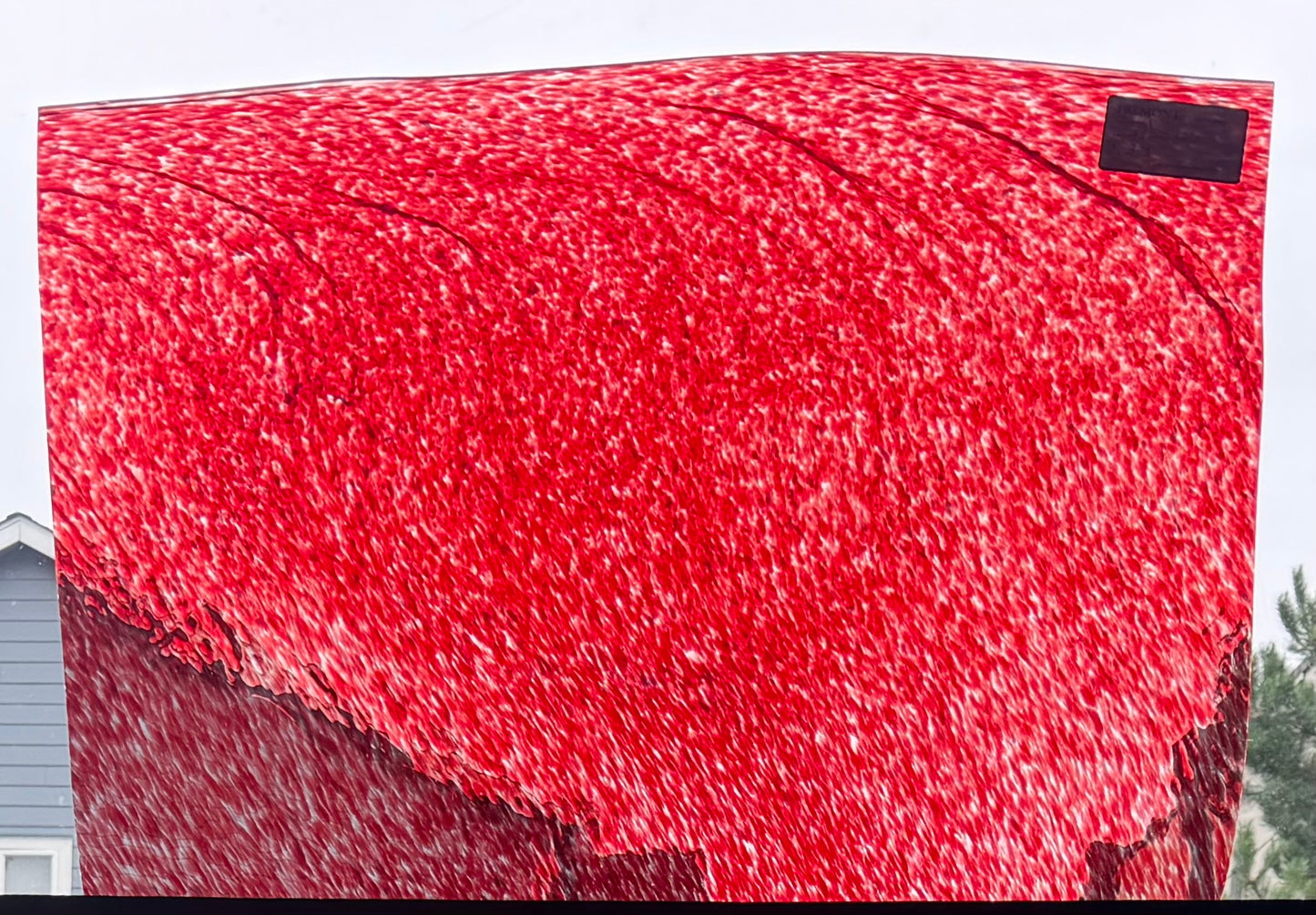 Full Sheet S1 Red Puff Test