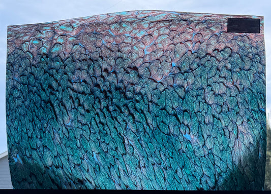 Full Sheet S1 347 AV