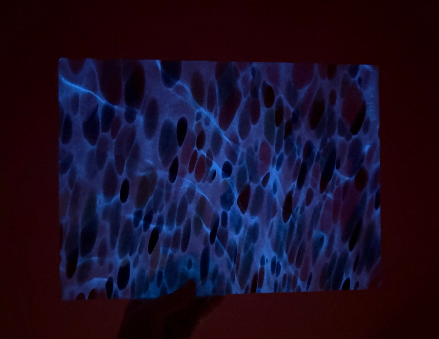 S2 Multi - Blue Glow