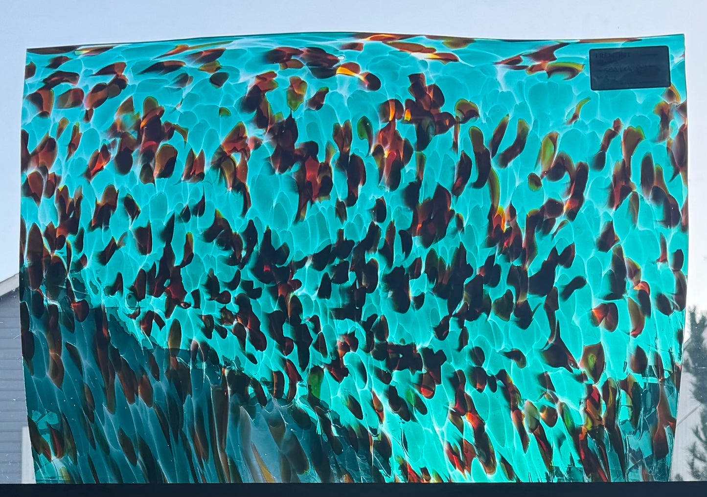 S2 Golden Sea Kelp Puffs