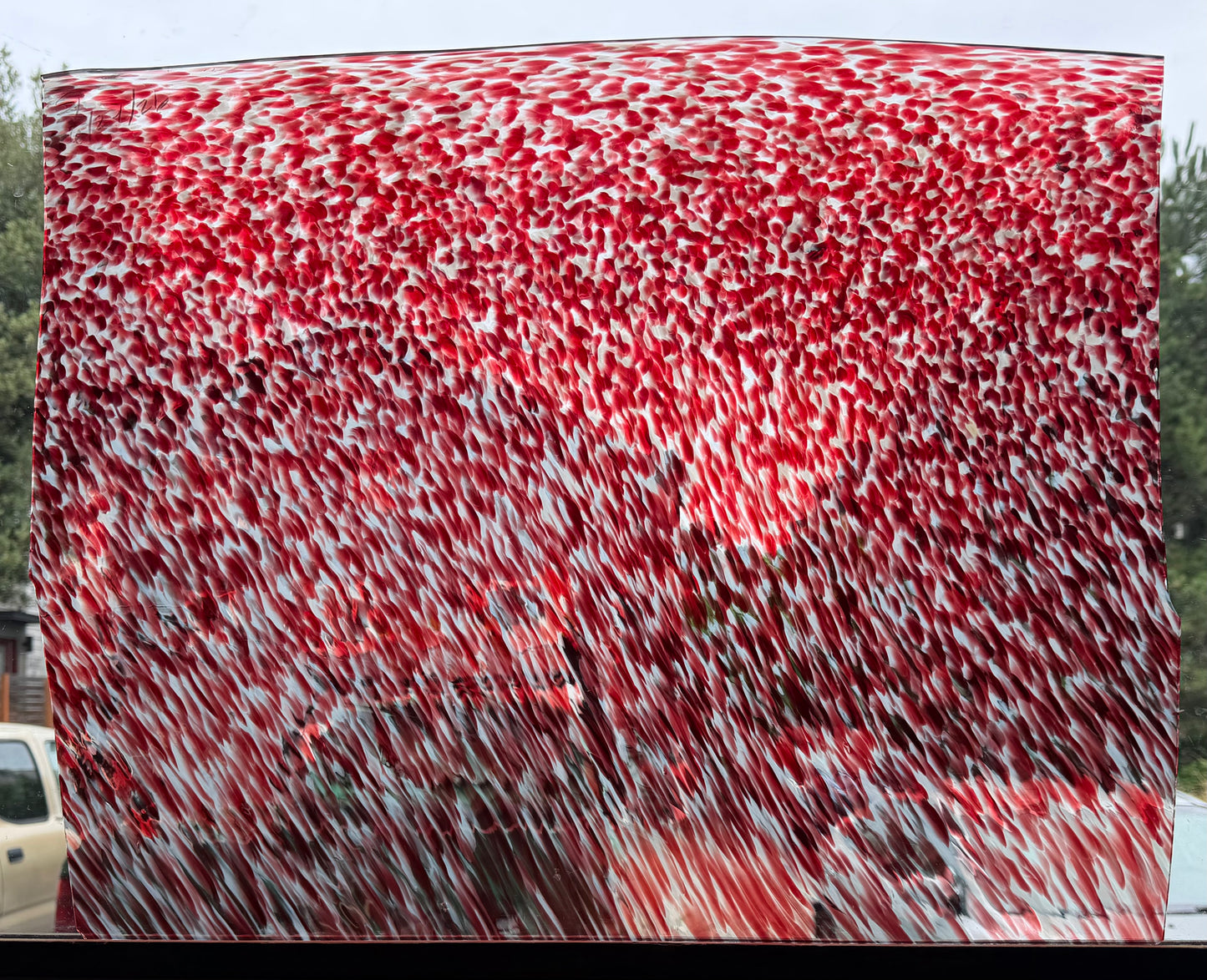 S1 Red and White Puffs