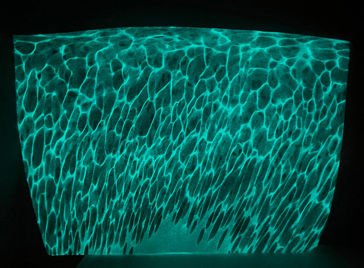Full Sheet S2 Aqua Glow Puff