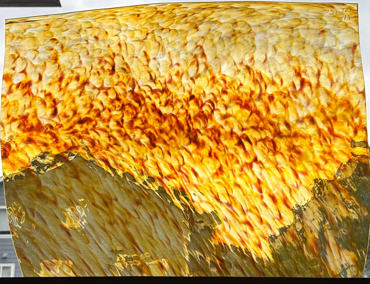 Full Sheet S1 323